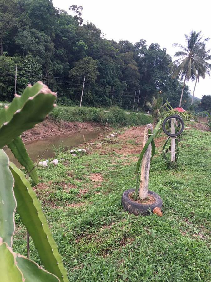 Panorama Homestay Jeram  Exterior foto